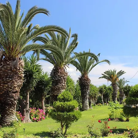 Hotel Corellia Asterias Beach